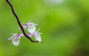 G15bd3814d1a0d2b63d43bf6ef36716ad2a6c9b5bf4c022300221dcd341fcb6ee504ee3a6d8fd7e4854c51ff779a1057cc5500b046672abbcf3261b06e6d94478 640