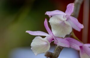 G19918302b1f26846389d0e44b6c694f5da482837efcc76b577fb8e0ba42fad56a5e5370492561d976ff8ec7a9597acd038a2a0f18cb35e624bc54d32a5ad657f 640