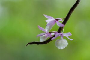 G290bbd6166acf48242fbf70a4f7bcef5454cc804c02e686f3b17e35e2f13518ed8b4f3290778cf3a37dc700c8d7c022f256d08c171cebec119f6bbd28ec9b853 640