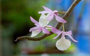 Ge2e6e1554538bae753507f699f674d21ee97b86433a5f5a456186155fdecee5b6c50124b12d87b861bdc34fcd2091ab2cb04af7133085cb75ec0d92667a82089 640